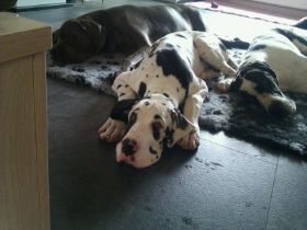 IMG-20120728-WA0003.jpg